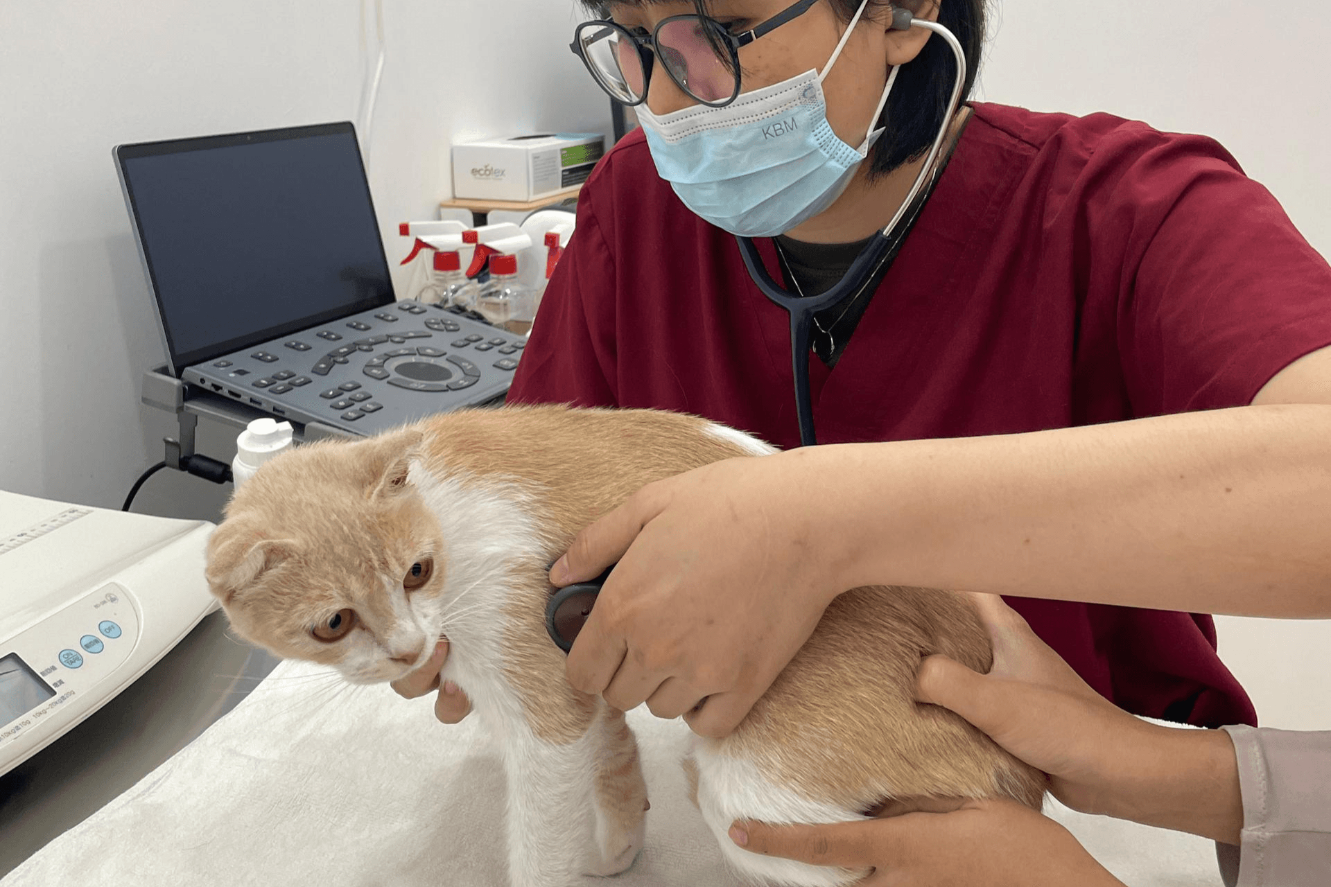 Consultation & Body Checks